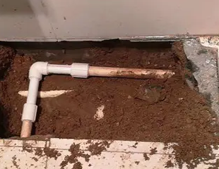 杨浦测漏水哪家好