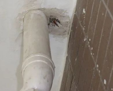 杨浦漏水检测哪家好